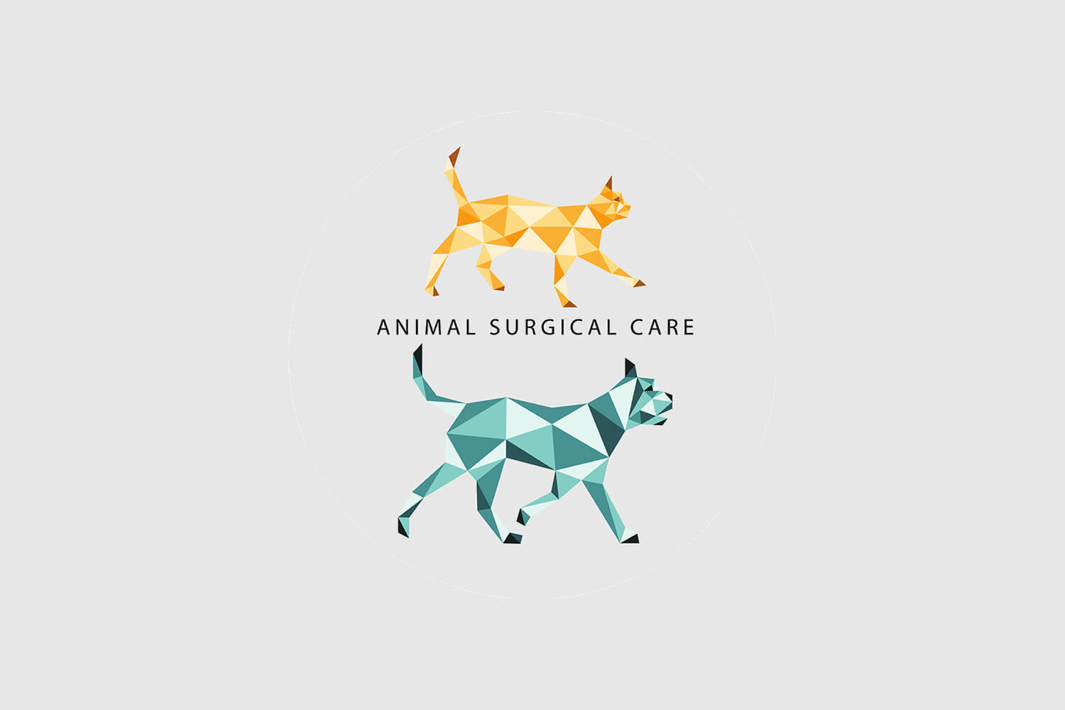 Animal Surgical Care of Colorado